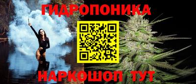 Альфа ПВП Краснознаменск