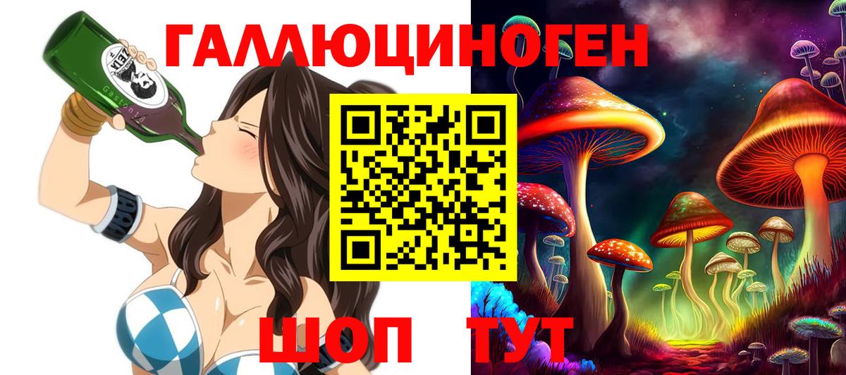 Верхняя Пышма  Галлюциногенные грибы Cubensis  Вход с VPN 